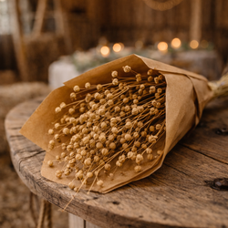 kornout_lucni_susina1