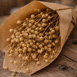 kornout_lucni_susina2