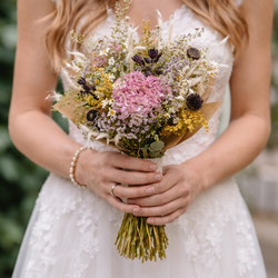 susena_kvetina_ruzova