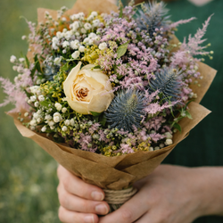 susena_kvetina_ruzovy_sen_1