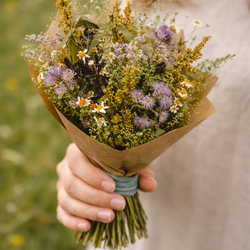 susena_kvetina_zlaty_okamzik_1