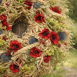 venec_letni_pole_close